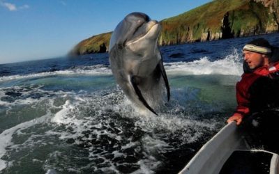 Up for an adventure? The beautiful, culturally rich Wild Atlantic Way is the perfect place along Emerald Isle to go! #wildatlanticway #Ireland #travel