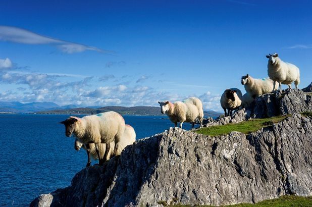 Want to live on the “Wild Side”? Get your group to try one of these exciting tours of the Wild Atlantic Way