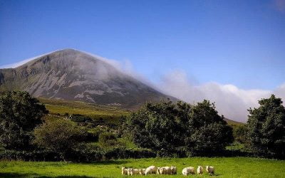 Explore the scared land of Ireland complete with its deeply rewarding pre-historic, monastic and megalithic sites! A once in a lifetime trip awaits on our #WorldMeeting tour #Ireland #CaraGroupTravel #Travel #Vacation