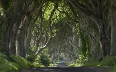 Missing your weekly #GameofThrones intake? Come adventure the setting on our #GOT territory tour! #NorthernIreland #CaraGroupTravel #Travel #Ireland #TravelIreland