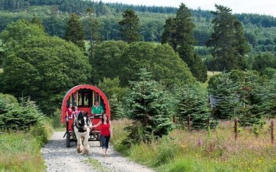 Ireland’s Ancient East is called the storybook of Ireland for a reason. From ancient high kings, saints and scholars to modern day poets, ramblers and fishermen, experience these stories brought to life in front your very eyes #irelandsancieteast #ireland #travel #CaraGroupTravel #grouptravel #TravelIreland #Irish