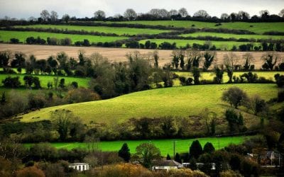 This is why they call Ireland the “Emerald Isle” | MNN