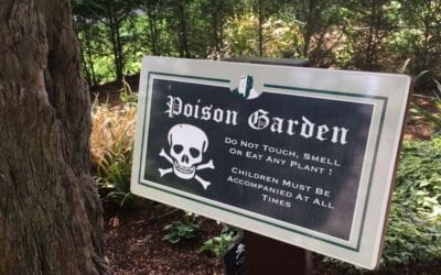 The beauty and danger of Blarney Castle’s Poison Garden | IrishCentral.com