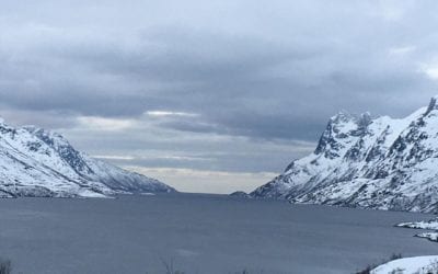 Cara Group travel adventures on an arctic road trip #visittromso #norway #arcticroadtrip #grouptravel