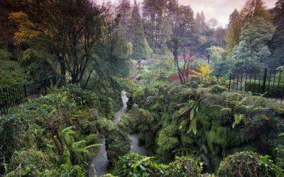 Gardens of Ireland quiz | Ireland.com