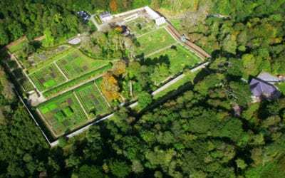 Ireland’s Most Incredible Walled Gardens | Ireland.com