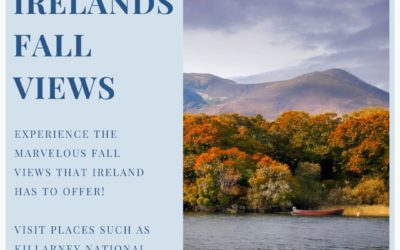 Experience many marvelous views of fall. Visit places such as Killarney National Park to surround yourself with the most beautiful colors! If you want to plan a group trip to Ireland don’t hesitate to reach out to one of our specialists today! #caragrouptravel #ireland #travel #fall #exploreireland