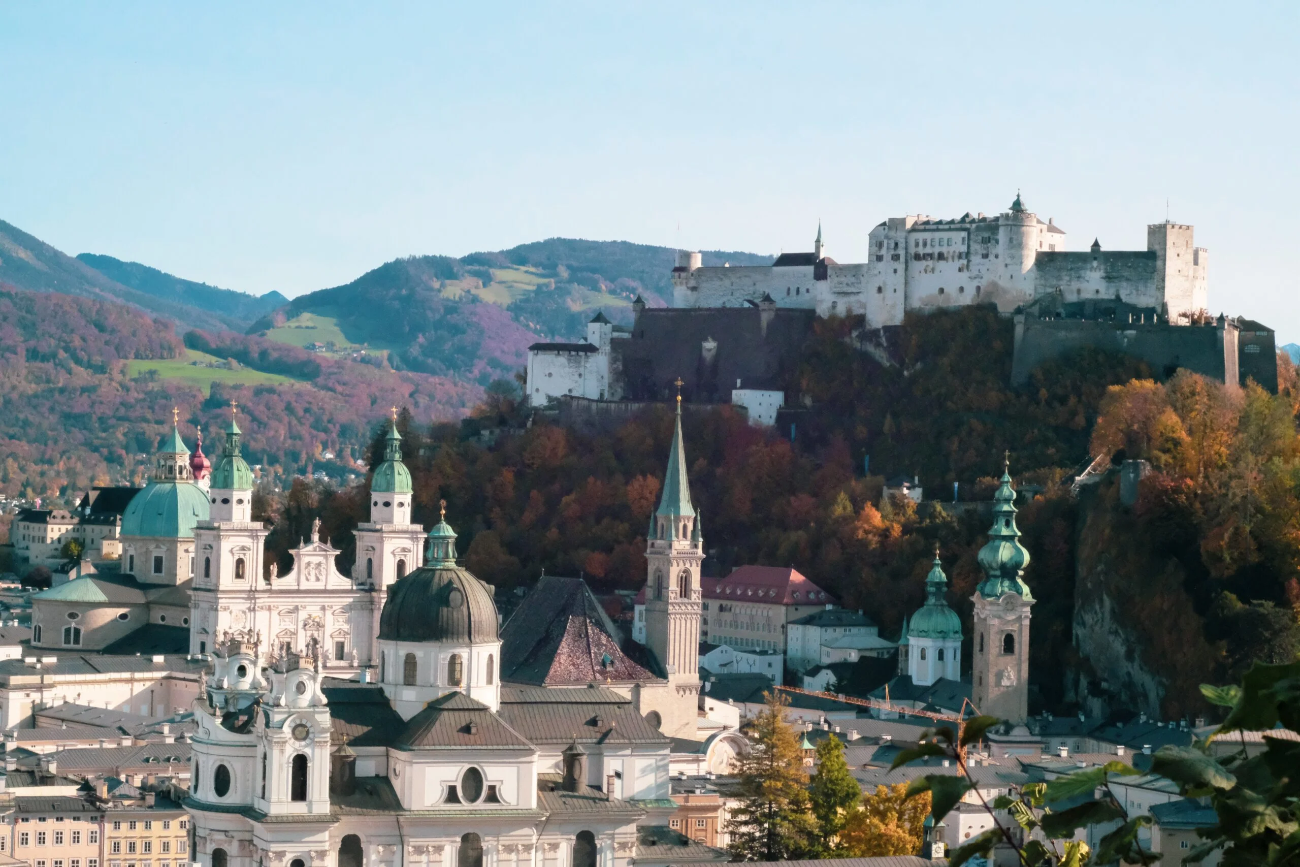 | Cara Group Travel