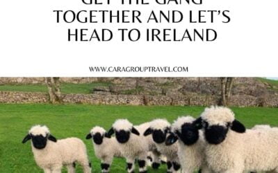 Get the gang together and let’s head to Ireland. Visit our website to check out some of our exciting tours traveling in 2024! #CaraGroupTravel #irelandtravel #like #tour #travelandleisure #exploreireland #explorepage