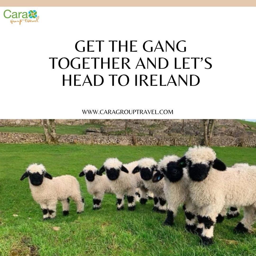 Get the gang together and lets head to Ireland Visit our website to check out some of our exciting tours traveling in 2024 