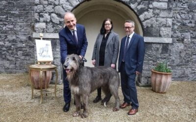 Boann: Irish Wolfhound to feature in Ireland’s new passport design