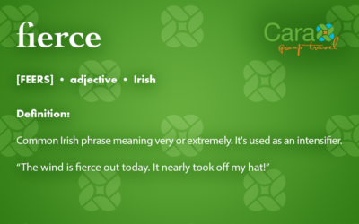 Word of The Week: Fierce | Cara Group Travels