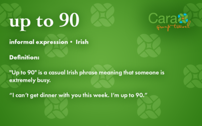 Word of The Week: Up to 90 | Cara Group Travels