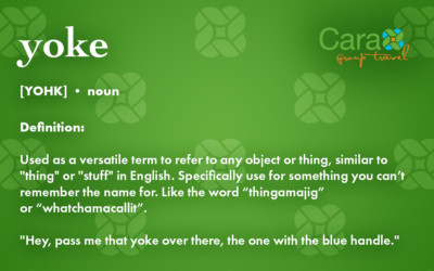 Word of The Week: Yoke | Cara Group Travels