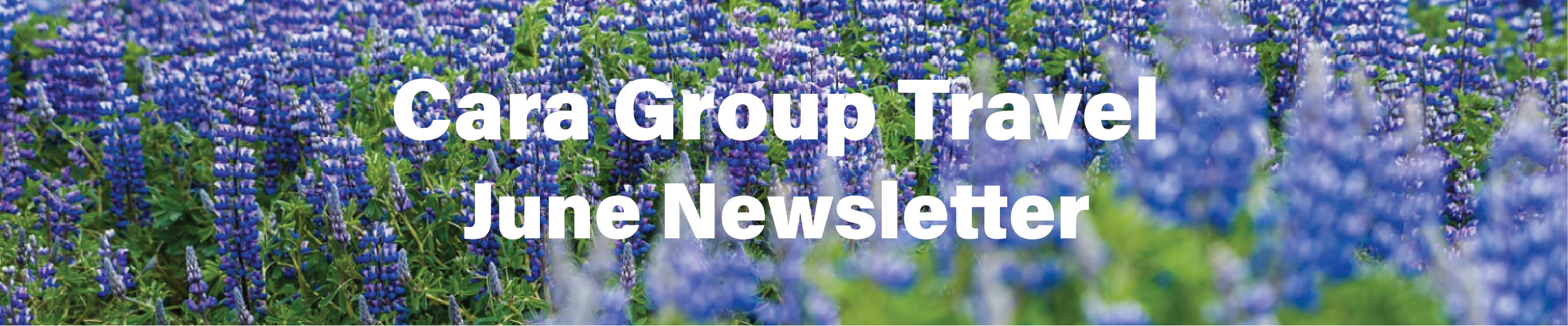  GGT Newsletter Banner June