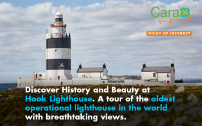 Discover History and Beauty at Hook Lighthouse. A tour of the oldest operational lighthouse in the world with breathtaking views.