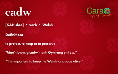 Word of The Week: Cadw | Cara Group Travels