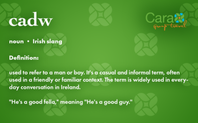 Word of The Week: Fella | Cara Group Travels