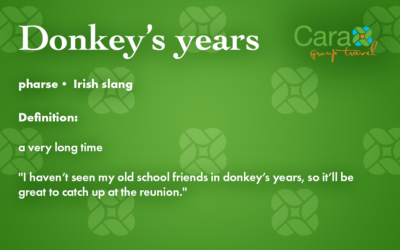 Word of The Week: Donkey’s Years | Cara Group Travel