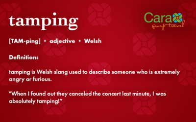 Word of The Week | Tamping