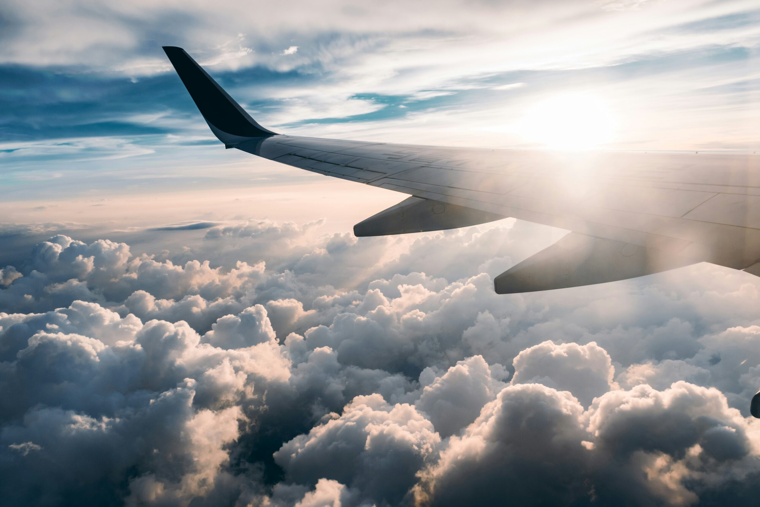 | Cara Group Travel